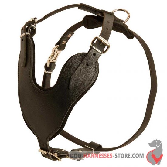 Leather Dog Harness for Training and Walking with Padded Chest Plate