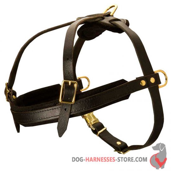 Wonderful leather dog harness for tracking and pulling