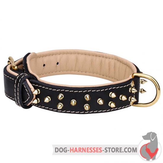 Spiked Leather Dog Collar with Soft Padding and Brass Hardware