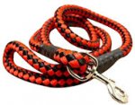 5 foot Round Nylon Leash With Brass Snap for all breeds