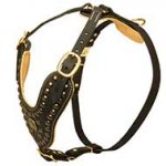 Exclusive Design Studded Leather Dog Harness