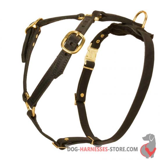 Walking Luxury Handcrafted Leather Dog Harness