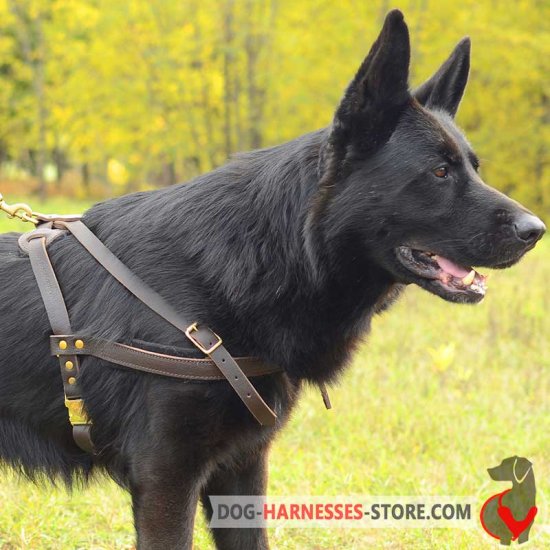 Tracking/Pulling Leather German Shepherd Harness