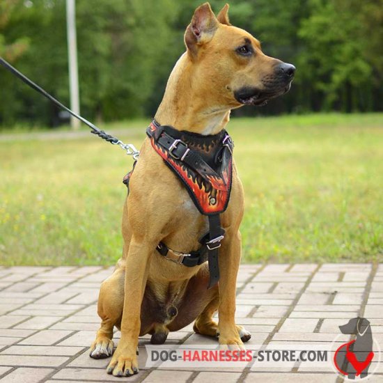 Flames Painted Leather Pitbull Harness