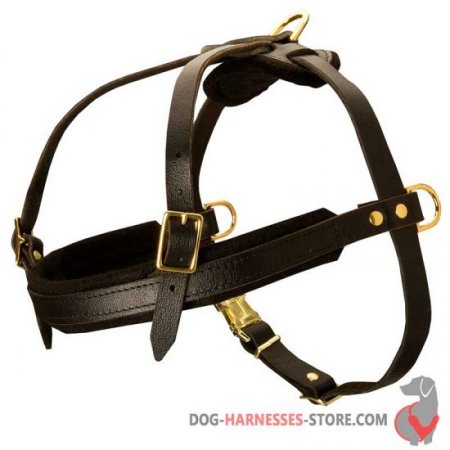 Leather Dog Harness for Pulling, Tracking and Walking