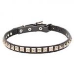 Slim Leather Dog Collar with Chrome Plated Square Studs