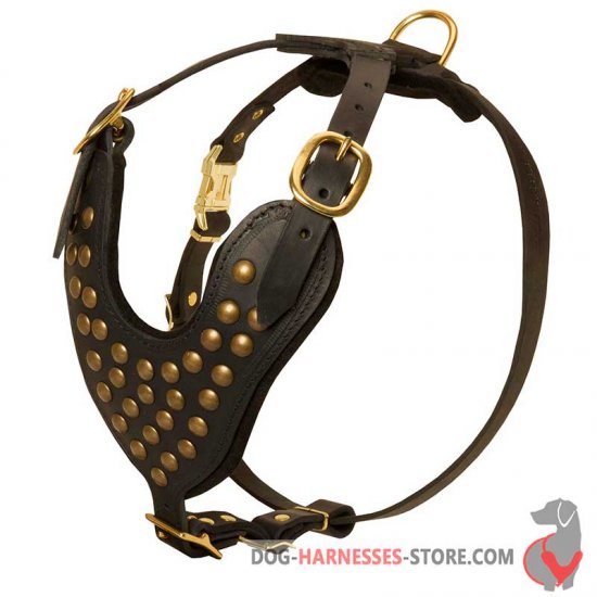 Leather Dog Harness with Studded Chest Plate