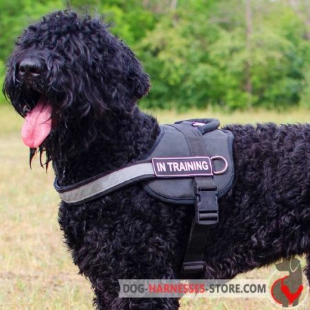 Black Russian Terrier Nylon Harness for Police and Service Dogs with Handle
