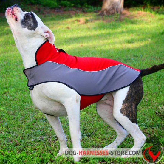 Winter American Bulldog Coat for Walking