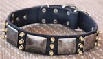 Leather Spikes Dog Collar - massive plates+ brass 3 spikes