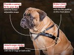 Tracking/Pulling Leather Dog Harness for All Breeds