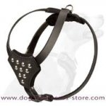 Leather Small Dogs Harness with Studded Chest Plate