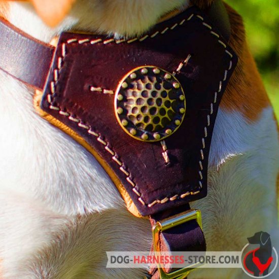 Decorated Leather American Bulldog Harness for Puppies
