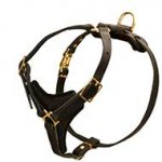 Tracking and Walking Leather Dog Harness for all Breeds