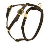 Luxury handmade leather dog harness for big dogs