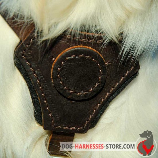 Leather German Shepherd Harness for Puppy Training, Walking or Tracking