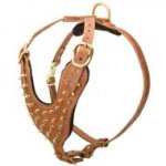 Exclusive Fashion Studded Leather Dog Harness