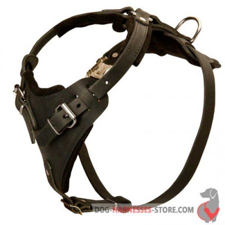 Training Leather Dog Harness - Agitation/ Protection Harness