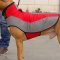 Cane Corso Warm Nylon Winter Dog Coat for Walking