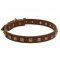 Decorated Leather Dog Collar with Brass Square Studs