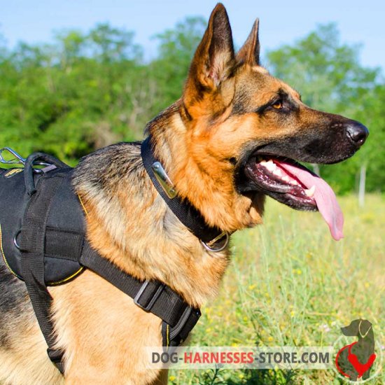 Practical German Shepherd Harness for Daily Usage