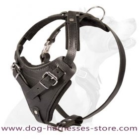 Custom Leather Dog Harness-Agitation,ProtectionTraining harness