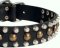 Custom Studded Leather Dog Collar for every day working dogs
