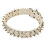 White Leather Dog Collar with 3 Rows of Nickel Plated Spikes