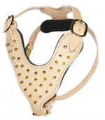 Padded Leather Spiked Dog Harness-Handmade Dog Harness