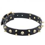 Rock Style Leather Dog Collar 30 mm Wide with Brass Spikes and Skulls