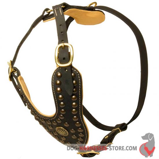 Royal Dog Harness Decorated with Brass Studs