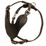 Leather Dog Harness for Training and Walking with Padded Chest Plate