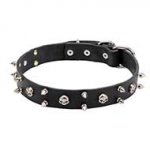 Rock Style Leather Dog Collar 30 mm Wide with Nickel Plated Spikes and Skulls