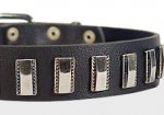 Ornament Dog Collar made of leather for DOG