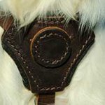 Cane Corso Leather Dog Harness for Puppy Training, Walking or Tracking