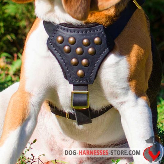 Boxer Designer Walking Leather Harness for Puppy