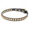 Slim Leather Dog Collar with Brass Square Studs