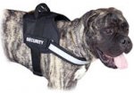 Reflective Nylon Bullmastiff Harness with ID Patches