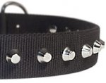 1 Row Studs Dog Collar-1 1/4" for every day walking dogs