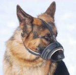 Royal Nappa Leather Dog Muzzle - product code : M88