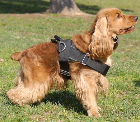Working Cocker Harness Adjustable Nylon Cocker Spaniel Harness – dog-harnesses-store.com