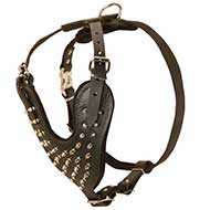 Designer Leather Dog Harness for Daily Walking