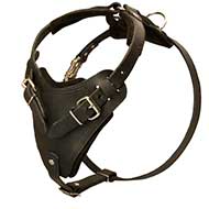 Attack/Agitation Leather Dog Harness - Handmade Dog Harness