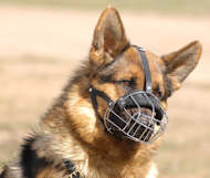 Everyday Wire Basket Dog Muzzle