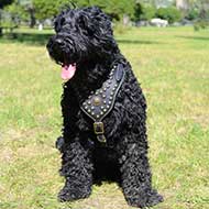 Royal Black Russian Terrier Harness with Exclusive Design