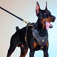 Doberman Royal Dog Harness - Exclusive Design Leather Harness
