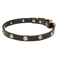 Floral Design Leather Dog Collar 20 mm Wide with Brass Studs