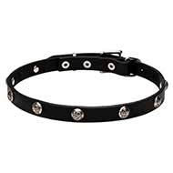 Floral Design Leather Dog Collar 20 mm Wide with Nickel Plated Studs