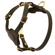 Leather Dog Harness For Puppies And Small Breeds - Walking Harness