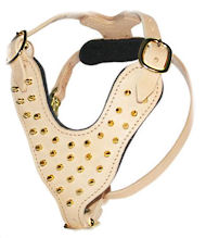 Y-Shape Leather Dog Harness with Brass Spikes